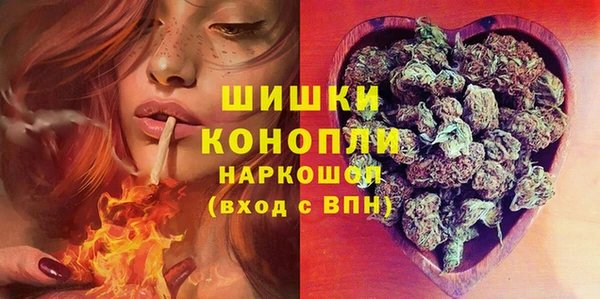 соль ск Арсеньев