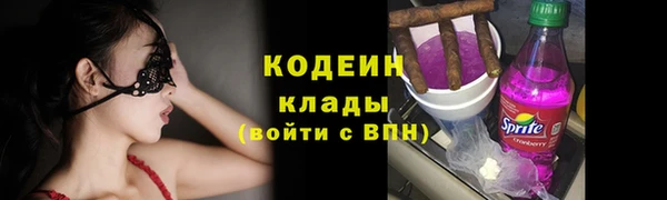 соль ск Арсеньев