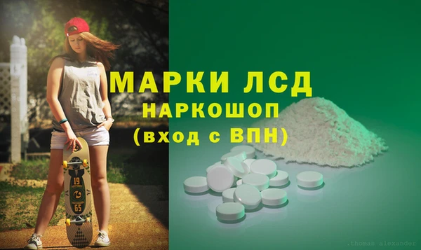 гидра Аркадак